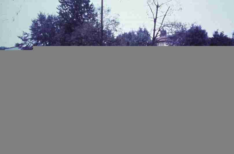 rfmv3011.jpg