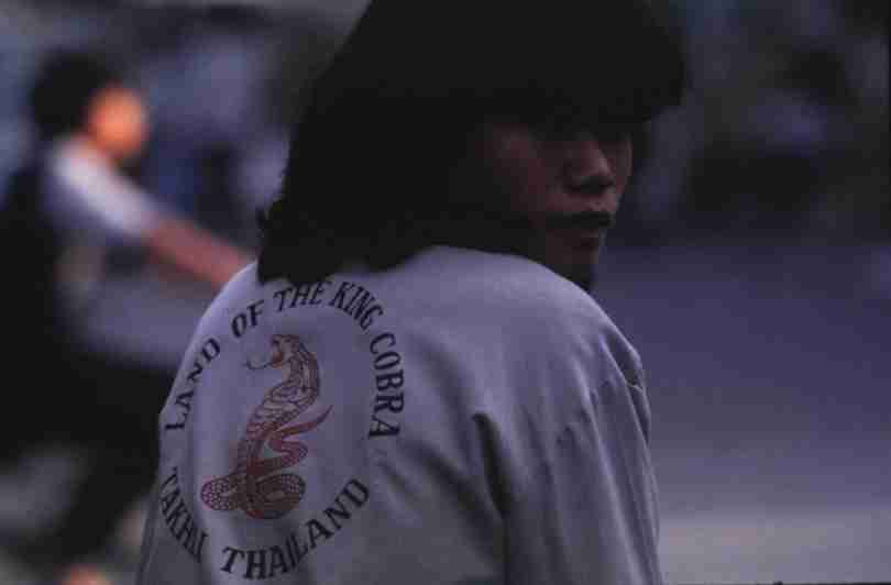 rfmv3197.jpg