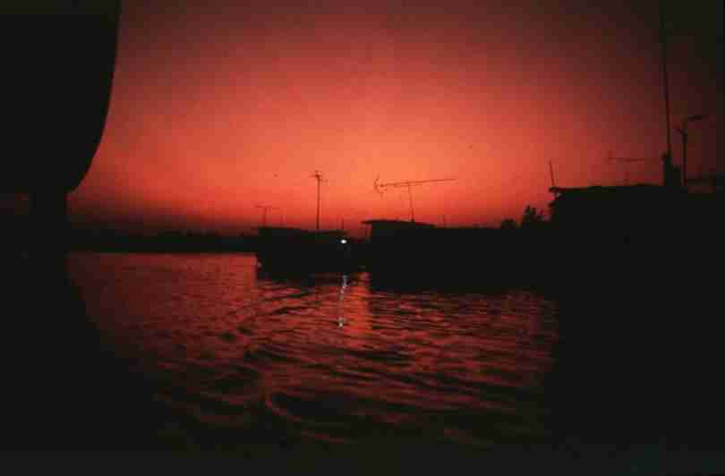 rfmv3204.jpg
