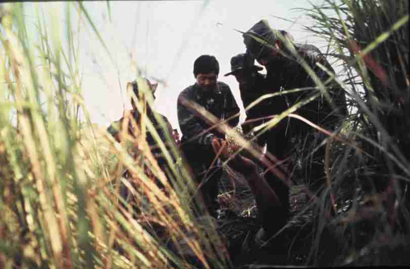 rfmv3214.jpg