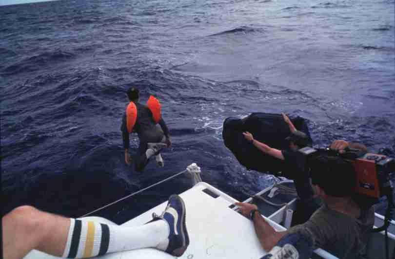 rfmv3241.jpg