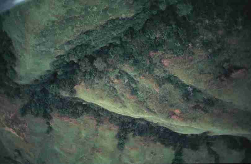 rfmv3248.jpg
