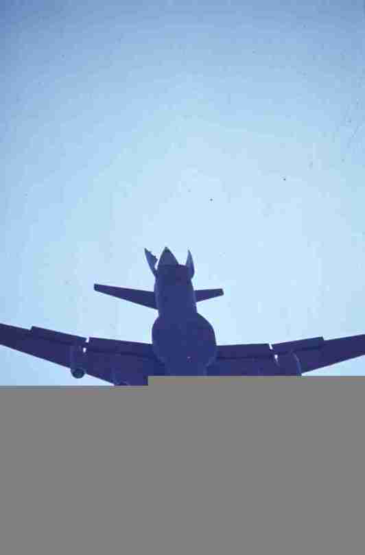 rfmv4374.jpg