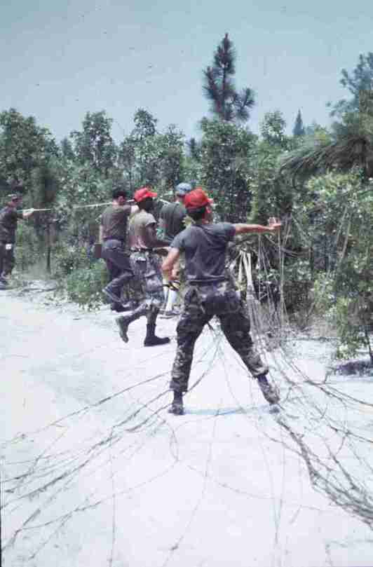 rfmv4382.jpg