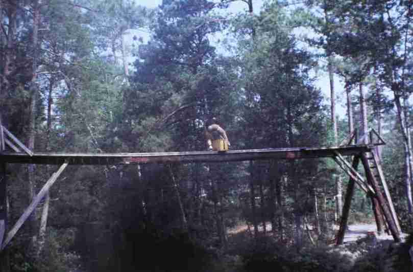 rfmv4390.jpg