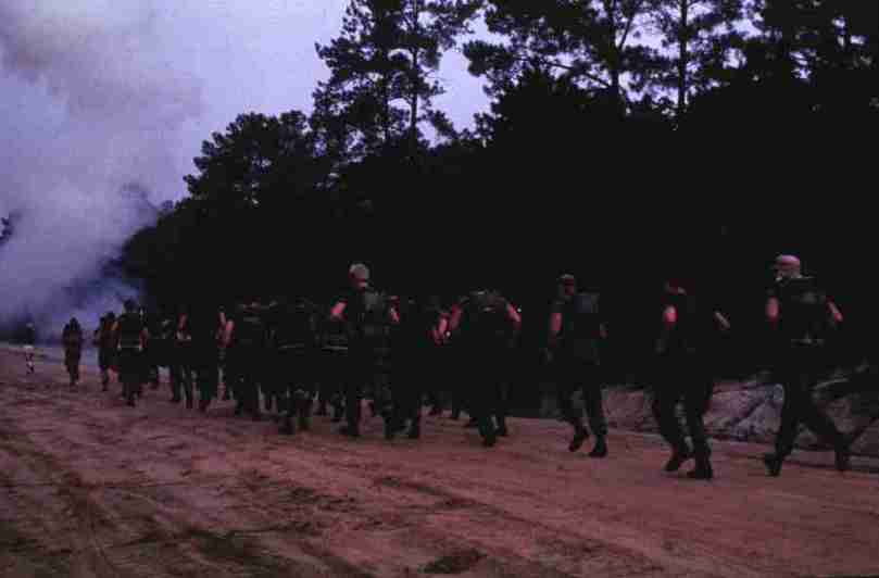 rfmv4393.jpg