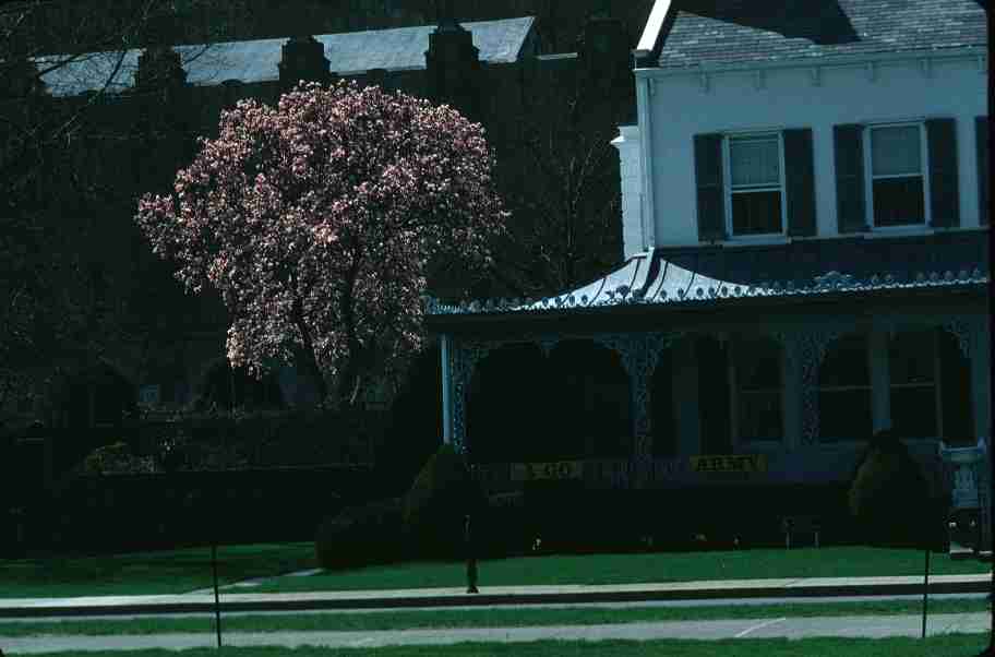 WEST POINT Photo by Agostino von Hassell 374232.jpg